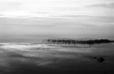 calm2.webp