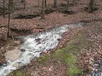 IMG_3882 Blount Springs2.webp