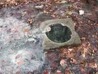 IMG_3883 Blount Springs3.webp