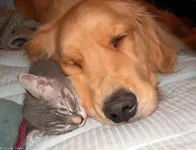 Pet Shots #13.webp