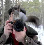 Pet Shots #15.webp