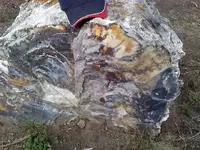 Giant agate.webp