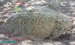 Copy of Other side of bear 2010 271.webp