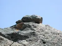 high up.webp