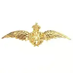 RAF pin sweetheart.webp