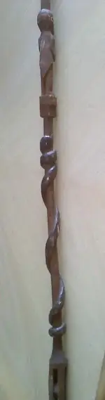 walking stick 1.webp