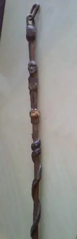 walking stick 3.webp