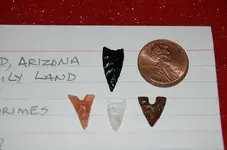 Arizona Artifacts (3).webp