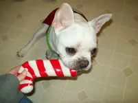 12-2010 023.webp