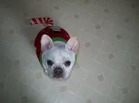 12-2010 045.webp