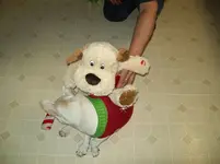 12-2010 024.webp
