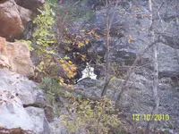 rockshole.webp