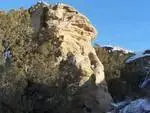 skull1.webp