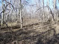 January 29 homesites 2011 010.webp