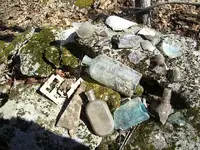 January 29 homesites 2011 014.webp