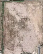 Field.webp