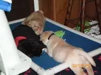 100_0269.webp