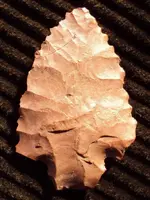 rsz_1dsc01141.webp