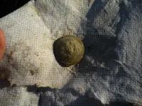 jkjkj 009.webp