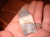 jj 003.webp