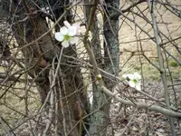 P2160380.webp P2160380.webp