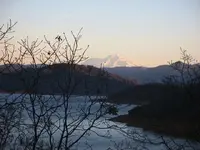 shasta1-4-11.webp