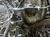 hungrytree3.webp