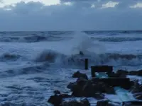 windy beach 010.webp