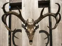 resizebarnardbuck1.webp
