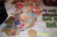 008.webp