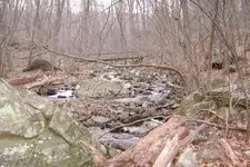Dec stream2.webp