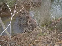 012.webp