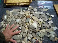 DSCN0380.webp