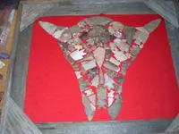 DSCN0395.webp