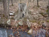 005.webp