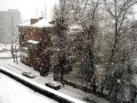 tseneff-zima.webp