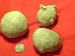 Dino eggs.webp