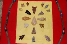 Frank Buehler Collection (4).webp