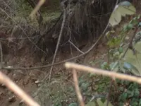 old river bed on hillside.webp