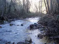 stream.webp