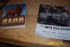 bear book.webp