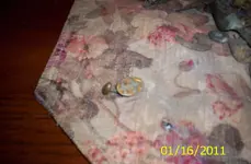 010.webp