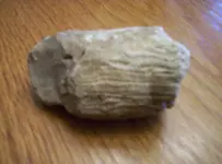 104_0916.webp