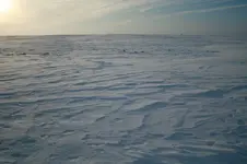 Winter2010 028_800_533.webp