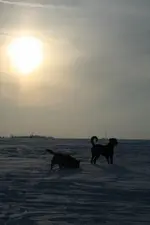 Winter2010 024_400_600.webp