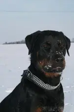 Winter2010 032_400_600.webp