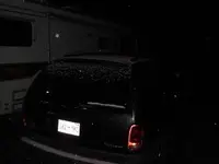 newsnowdec54.webp