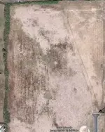 Field.webp
