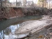 B 2011 1 jan 4th c (4).webp