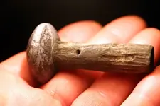 nc finds 02-17 002.webp